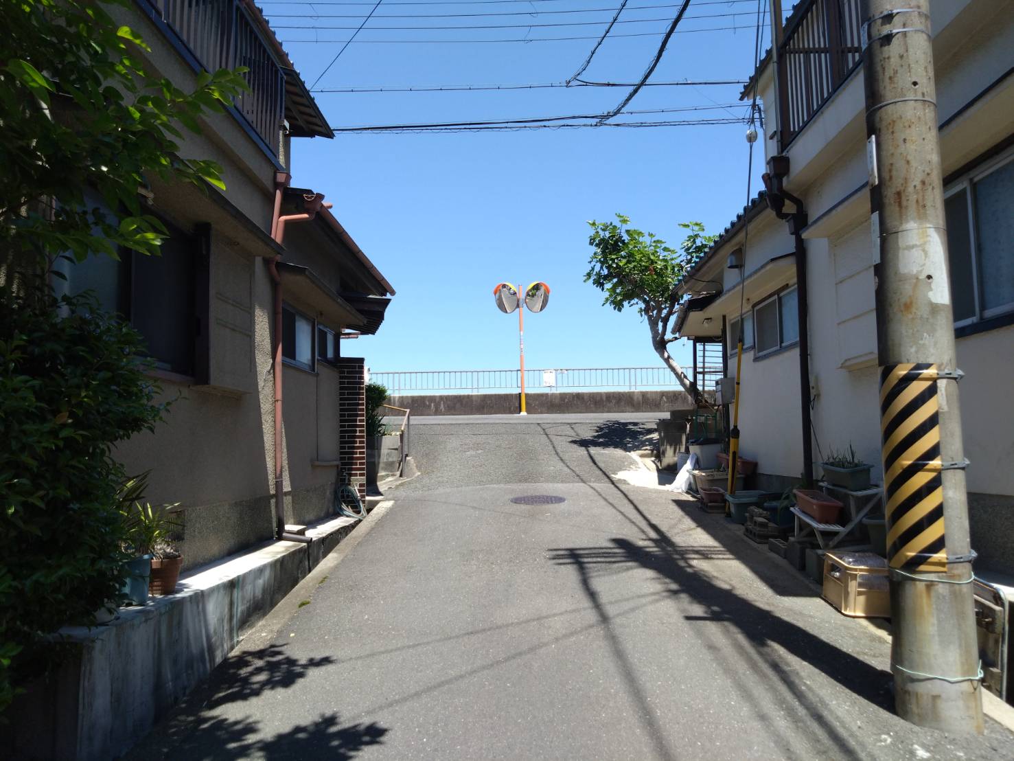 前面道路（東側2）(周辺)