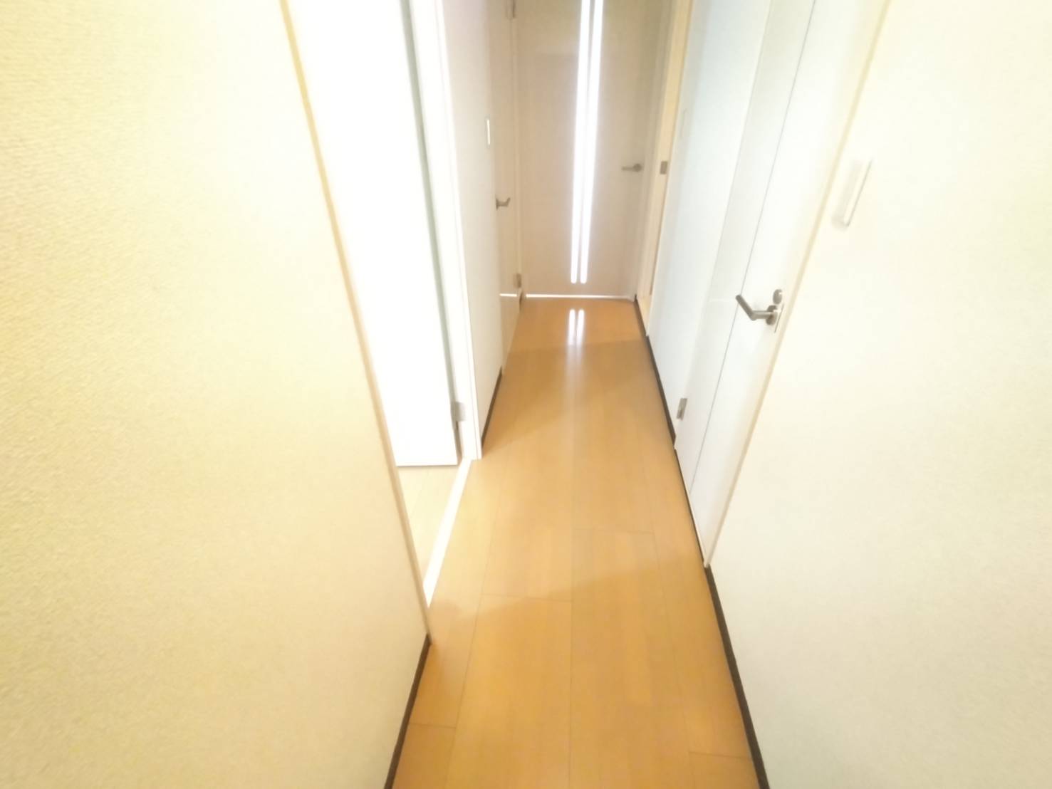 廊下(内装) 廊下(内装)