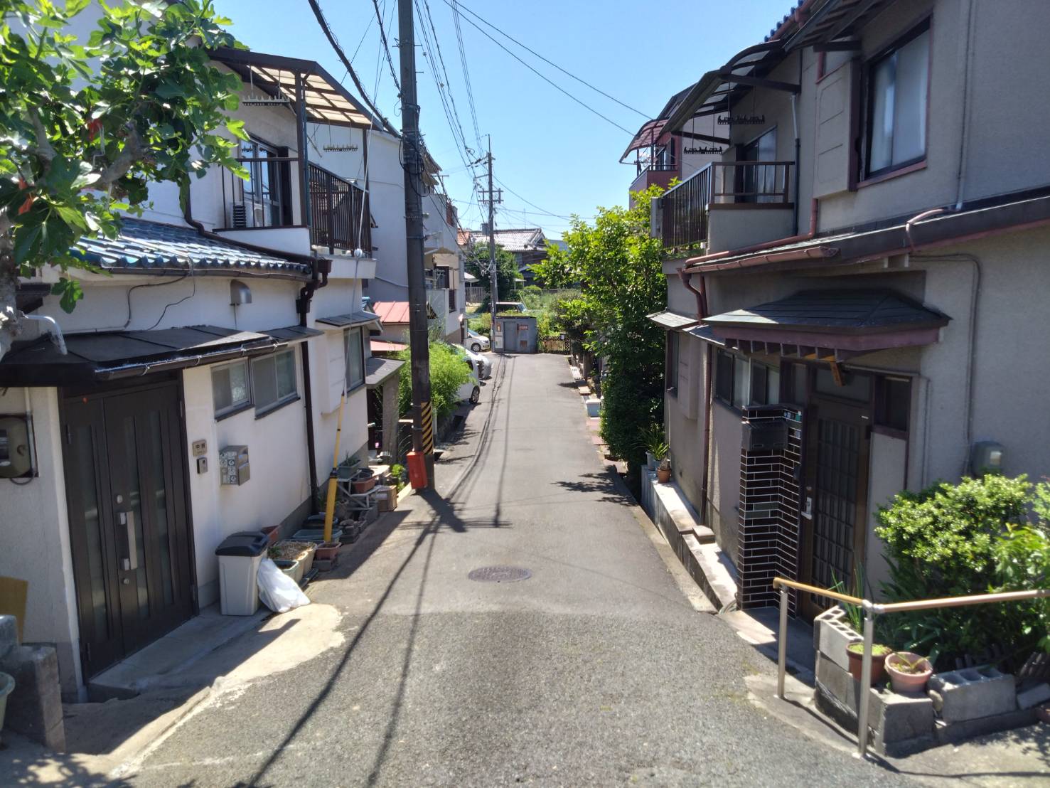 前面道路（東側）(周辺)