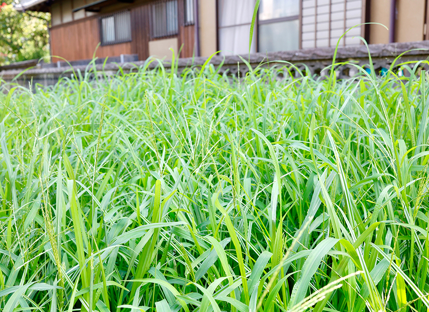 指定後に求められる対応と注意点